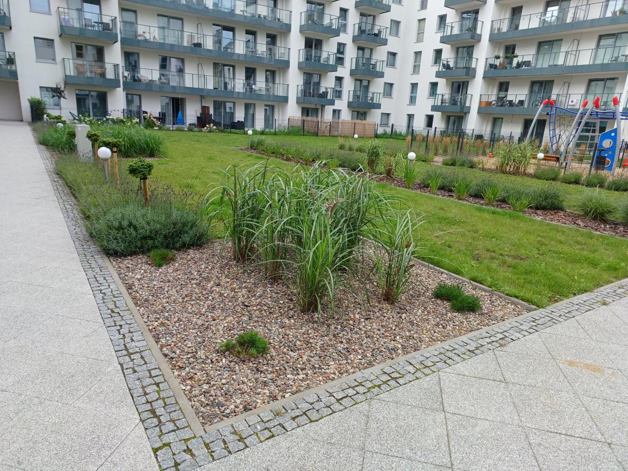 Mak Apartment Grobla - Free Parking - 3 Rooms Danzig Exterior foto